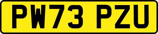 PW73PZU