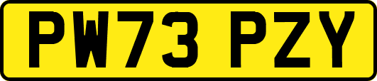 PW73PZY