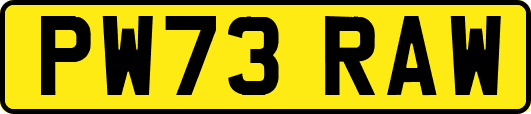 PW73RAW