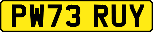PW73RUY