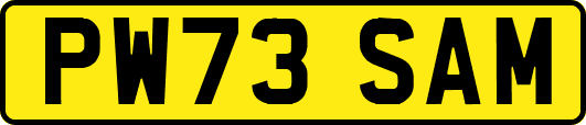 PW73SAM
