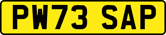 PW73SAP
