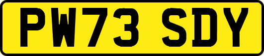 PW73SDY