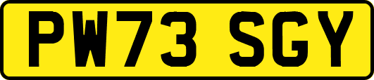 PW73SGY