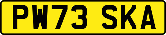 PW73SKA