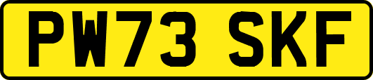 PW73SKF