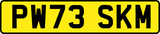 PW73SKM