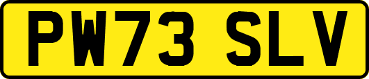 PW73SLV