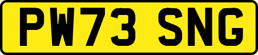 PW73SNG