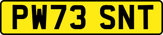 PW73SNT