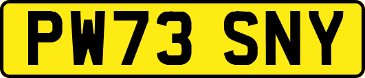 PW73SNY