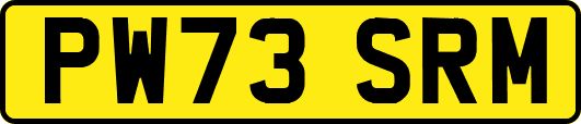 PW73SRM