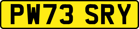 PW73SRY