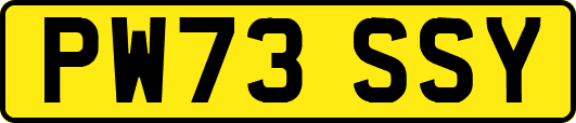 PW73SSY