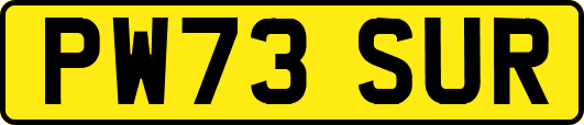 PW73SUR
