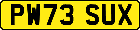 PW73SUX