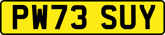 PW73SUY
