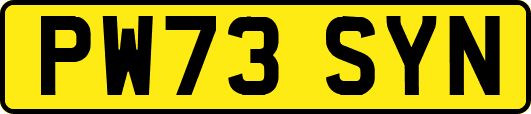 PW73SYN