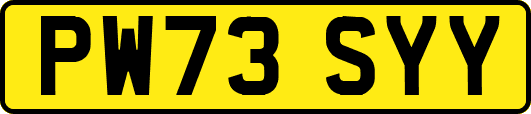 PW73SYY