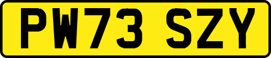 PW73SZY