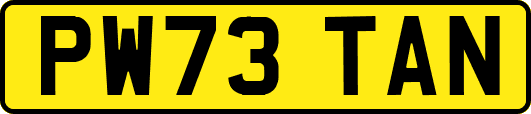 PW73TAN