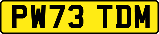 PW73TDM