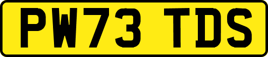 PW73TDS