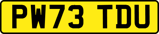 PW73TDU