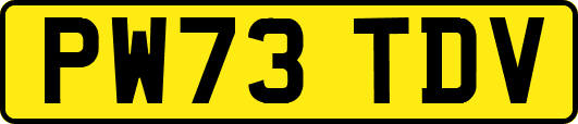 PW73TDV
