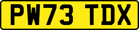 PW73TDX