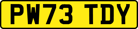 PW73TDY