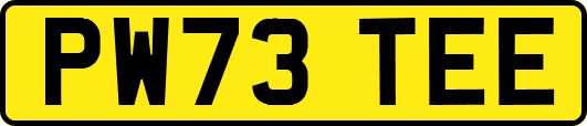 PW73TEE