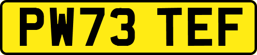 PW73TEF