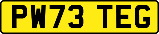 PW73TEG