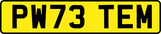 PW73TEM