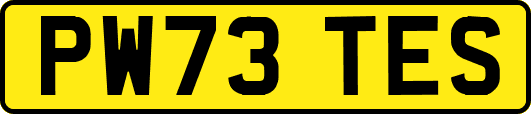 PW73TES
