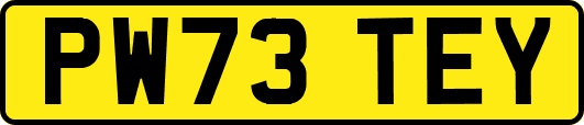 PW73TEY