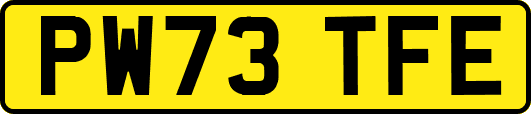 PW73TFE