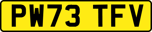 PW73TFV