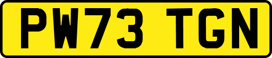 PW73TGN