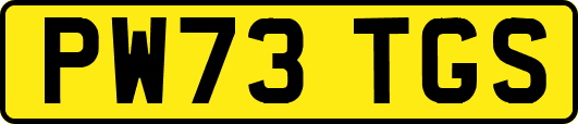 PW73TGS