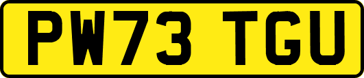 PW73TGU