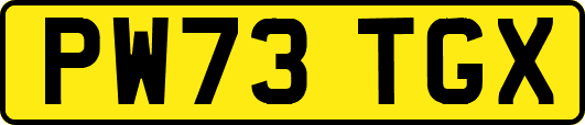 PW73TGX