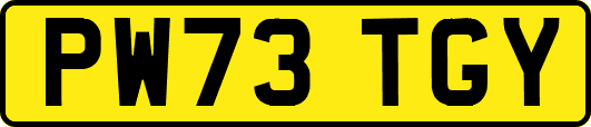 PW73TGY