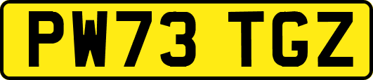 PW73TGZ