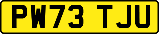 PW73TJU