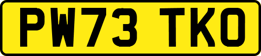 PW73TKO