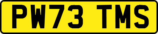 PW73TMS