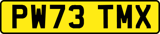 PW73TMX