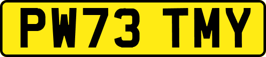 PW73TMY